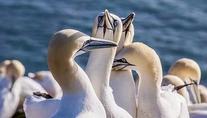 kaiyun-尤文高层被控参与苏牙考试作弊 帕拉蒂奇接受调查